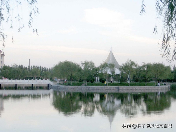 宁夏自治区最好的10所大学一览