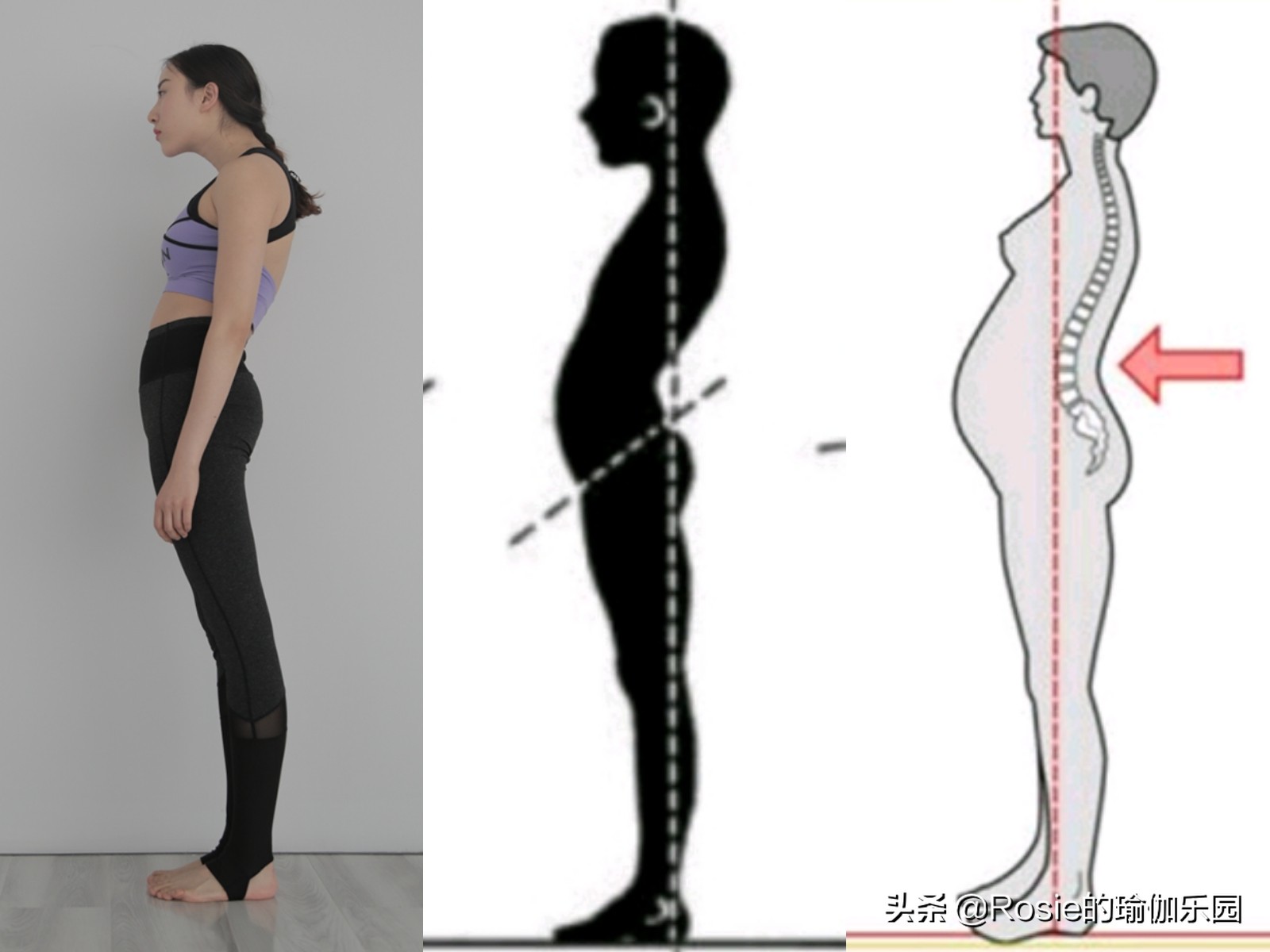 宽肩窄腰翘臀怎么练出来,腰细臀翘s型身材怎么练