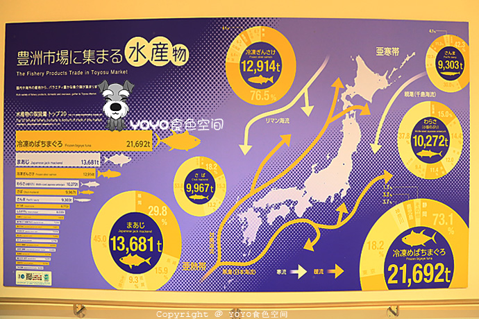 挪威自由行游记,挪威三文鱼远洋