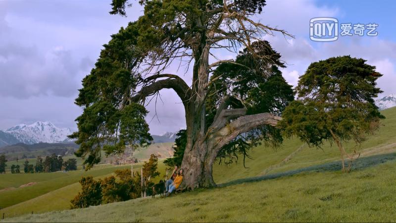 9部日本治愈系纯爱电影推荐,一部让你感动落泪的纯爱电影