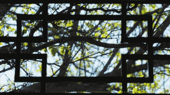 北京姑娘在西藏开民宿,北京姑娘在云南开民宿