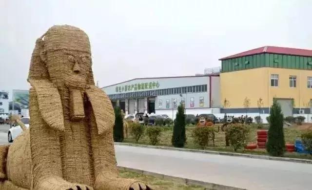 洛阳葡萄采摘最佳地点,最新洛阳附近可以采摘桃子的果园