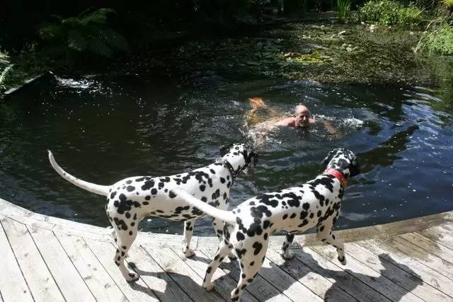 英国家庭花园建造,英国夫妇22年打造梦幻花园