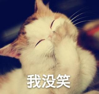 当别人对你说哈哈哈,当日本人跟你说谢谢