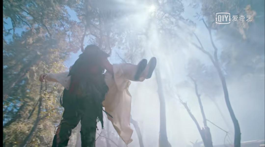 肖战的狼殿下好看吗,肖战狼殿下收官了吗