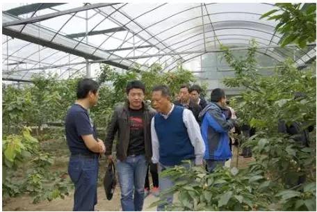 爱心助农米面粮油推销宣传,爱心助农蔬菜批发