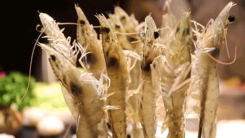 寰愬窞鐏攨铏炬粦,寰愬窞绗竴铏炬粦