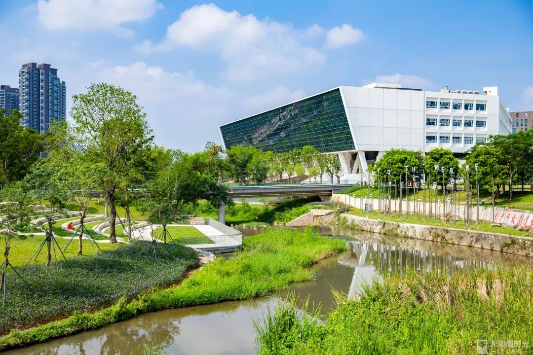 盼了1年！南山新地标“塞纳河”惊艳露面