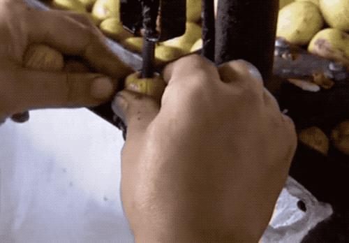 金丝蜜枣是怎么做成的,金丝蜜枣是怎么制成的