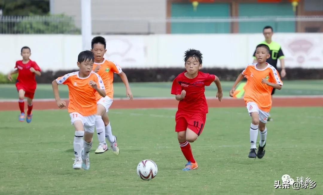 区中小学足球联赛,体教融合杯中学篮球赛