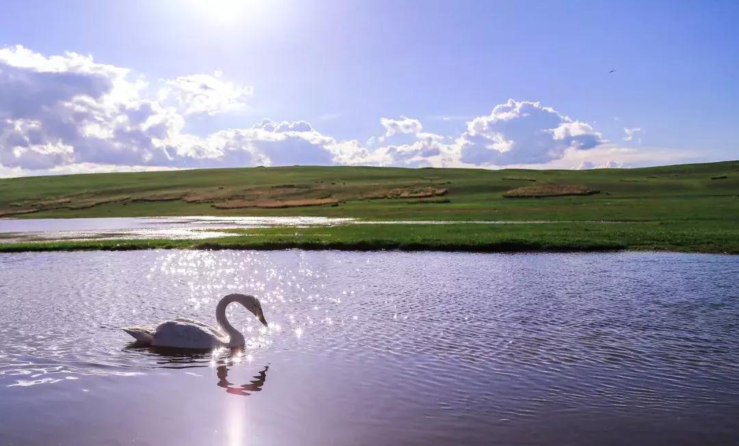 新疆的天堂在哪,新疆人间天堂在哪