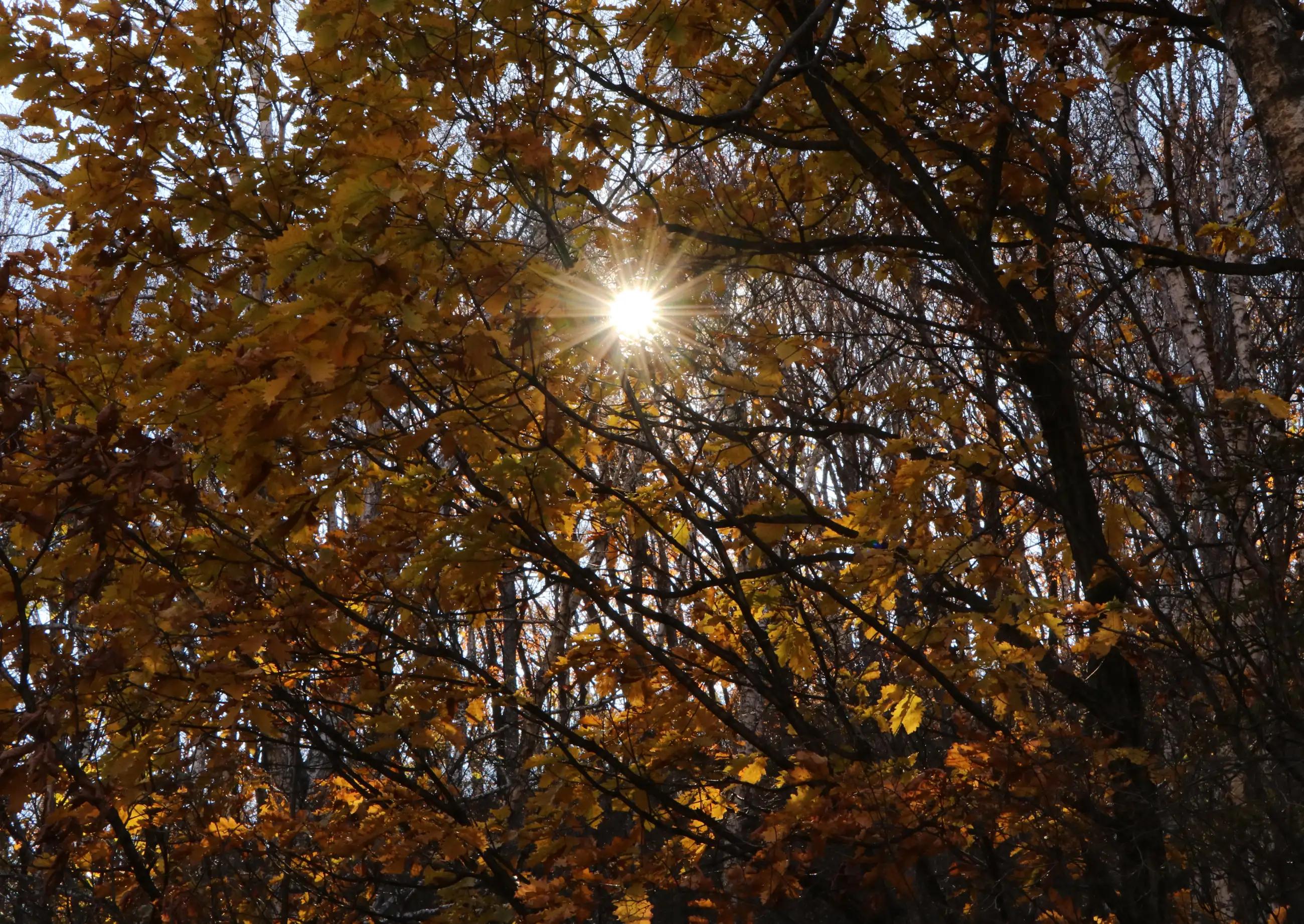 怀柔喇叭沟门原始森林2日自驾游,怀柔喇叭沟门原始森林骑行