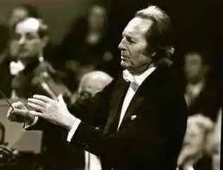 全球音乐典藏1000首完整版合集,音乐全球999首典藏纯音乐完整版