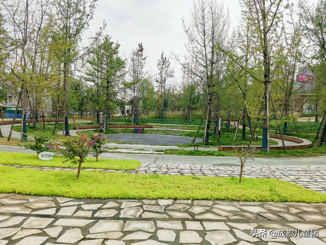 无滤镜公园随拍,无需加滤镜的公园