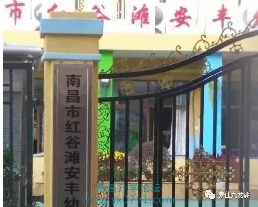 九龙湖幼儿园招生公告,九龙湖大地洵美幼儿园