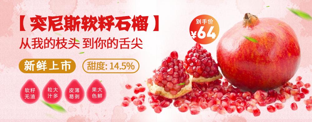 突尼斯软籽石榴快成熟了,突尼斯软籽石榴什么时候发新芽