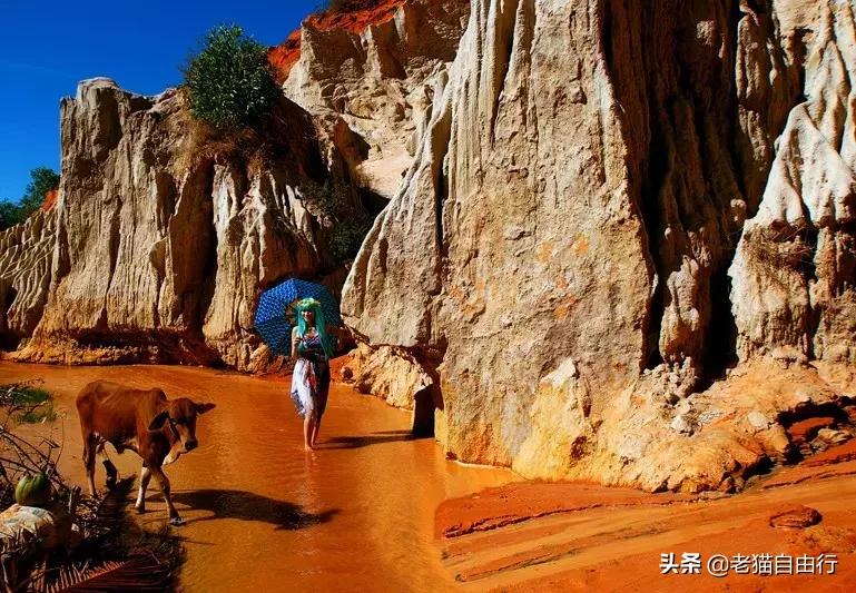 越南旅游自由行攻略详解,越南旅游攻略和自由行攻略