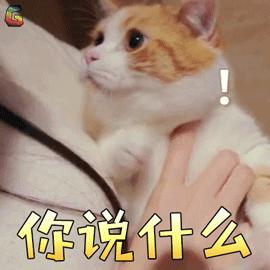 宠物吃生骨肉没有寄生虫么,宠物寄生虫对身体有害吗