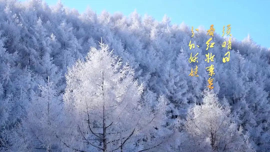 百年耀中华丨时空诵读：《*园春沁**·雪》
