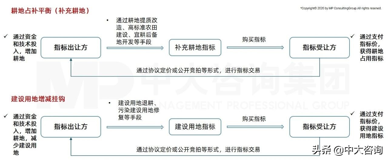中大咨询：全面推进乡村振兴，平台公司这么干