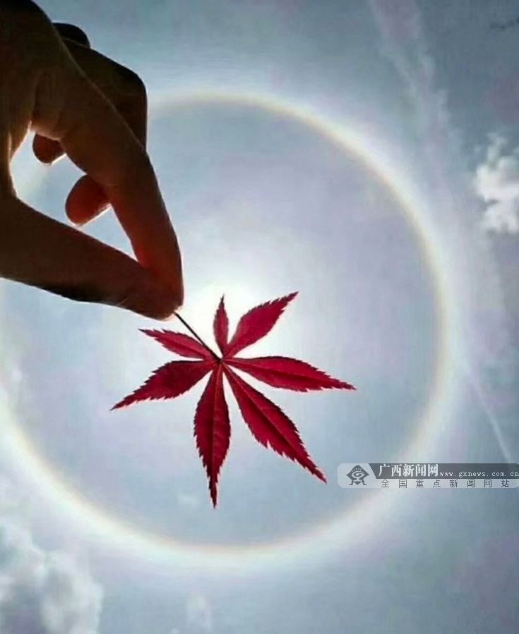 广西传染病暴发流行,广西南宁最近发生的传染病