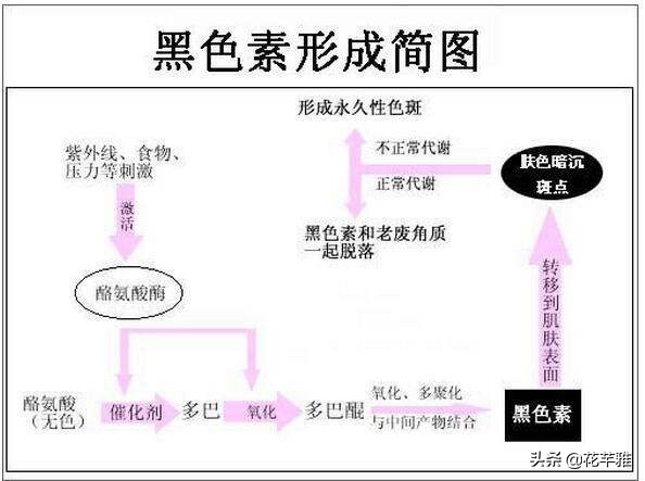 一白遮百丑一个月变白的三种方法,皮肤白很重要一白遮百丑