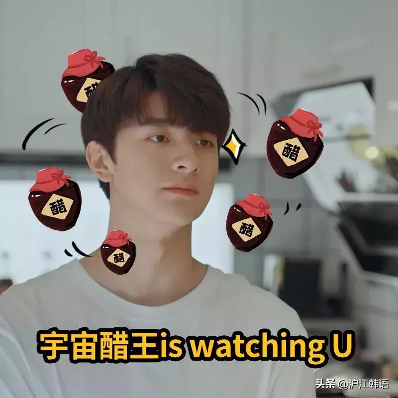 被韩国买版权的综艺,被韩国购入版权的国产剧韩国评论