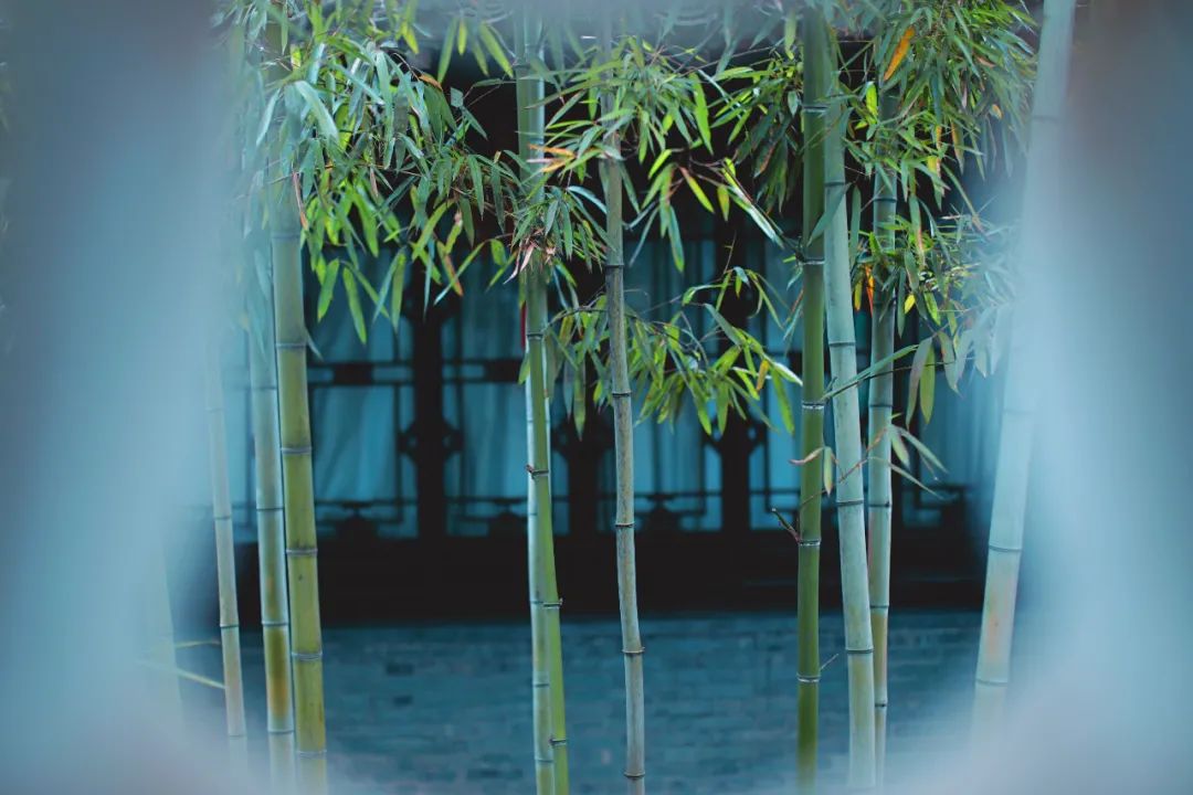 泰州旅游攻略五日游,泰州自由行旅游攻略一日游