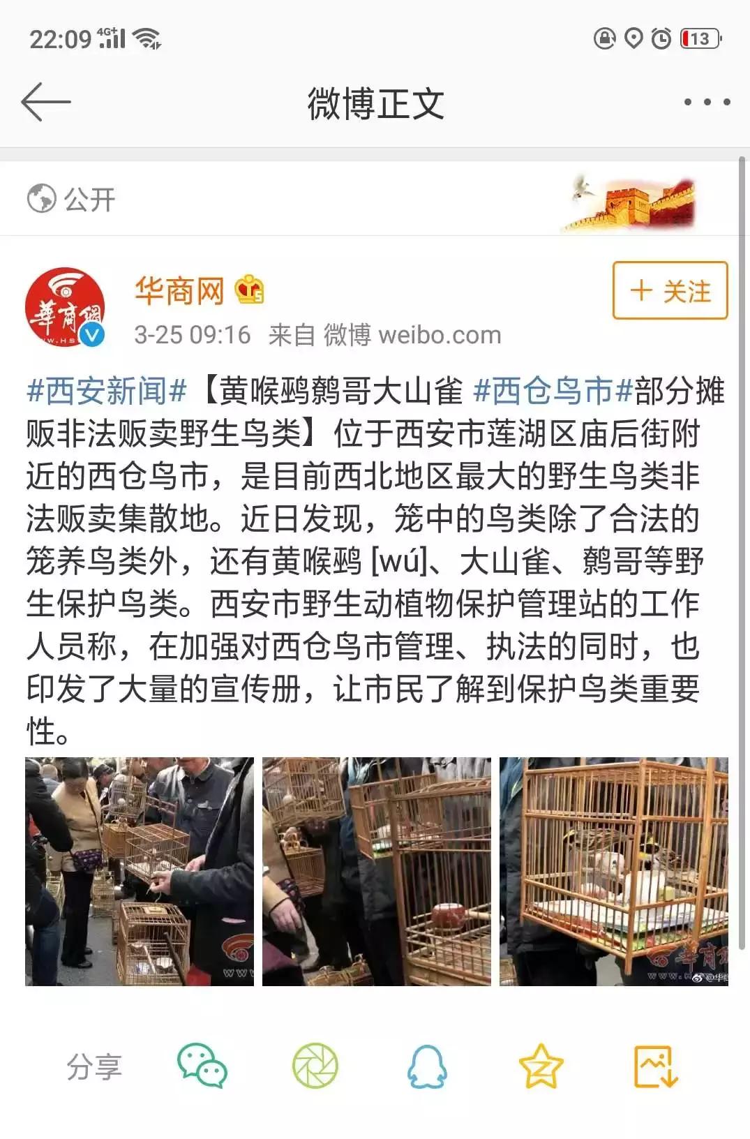 涉黄、买卖野生动物？原味*裤内**？从万能的淘宝，到万能的闲鱼