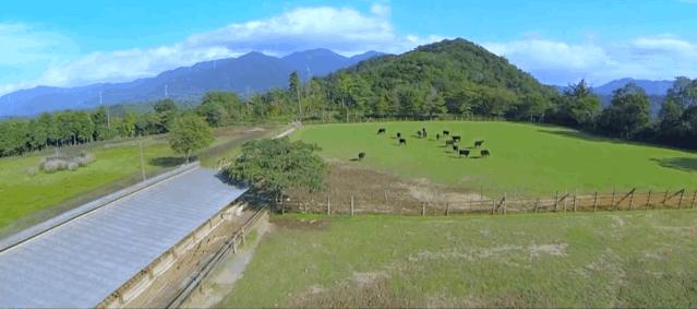 日本和牛哪个级别口感最好,日本和牛优势