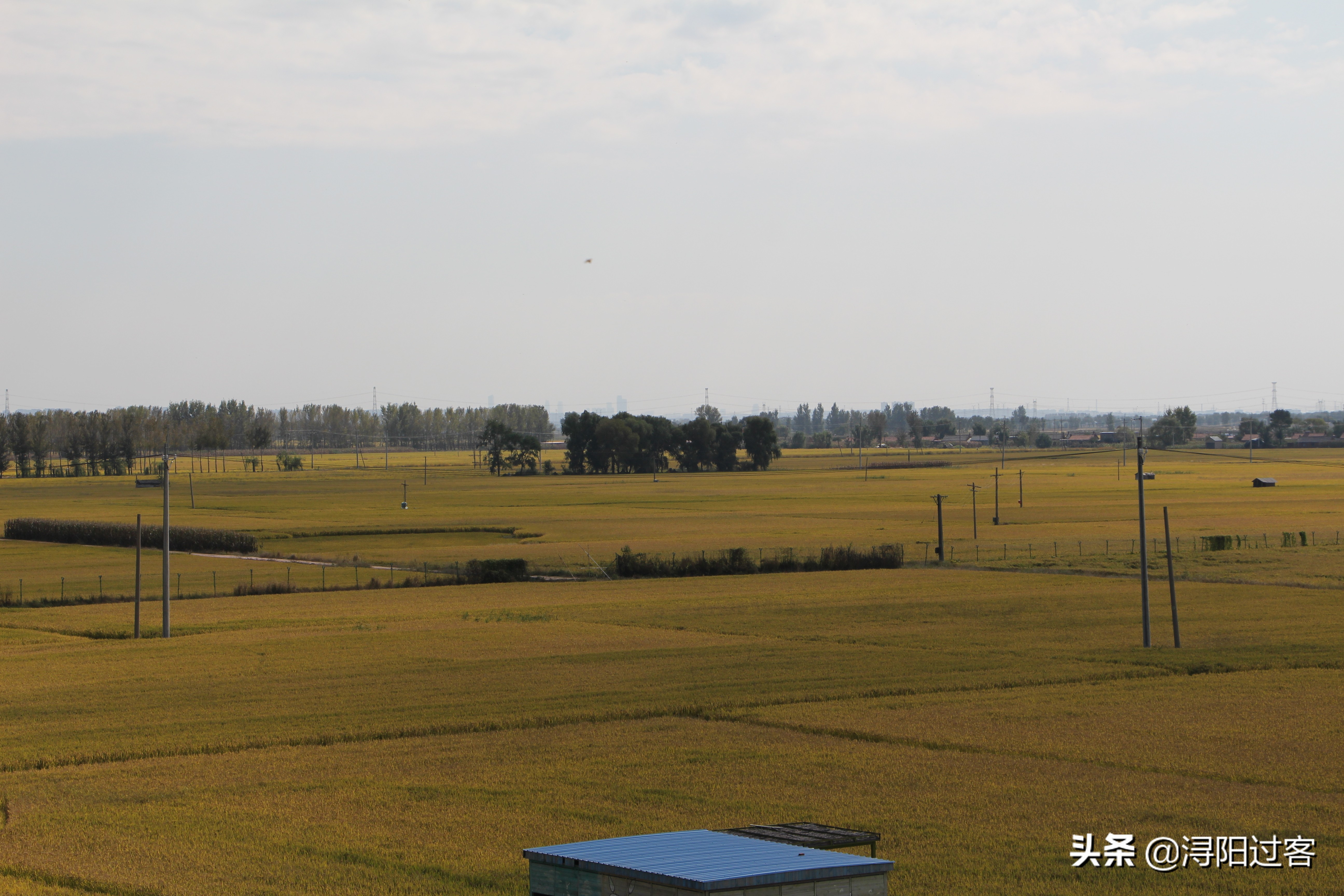 沈阳稻梦空间小火车,沈阳稻梦空间怎么样