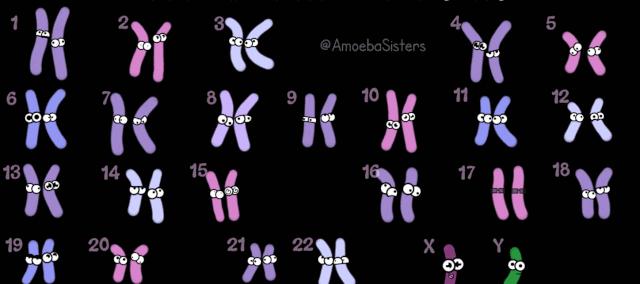 有人一啪就中，但这类人流产率竟高达88%！别慌能救！