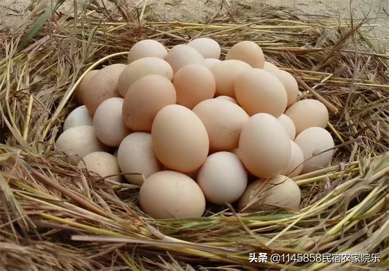 蓟县盘山玉环山庄,玉环山庄农家院