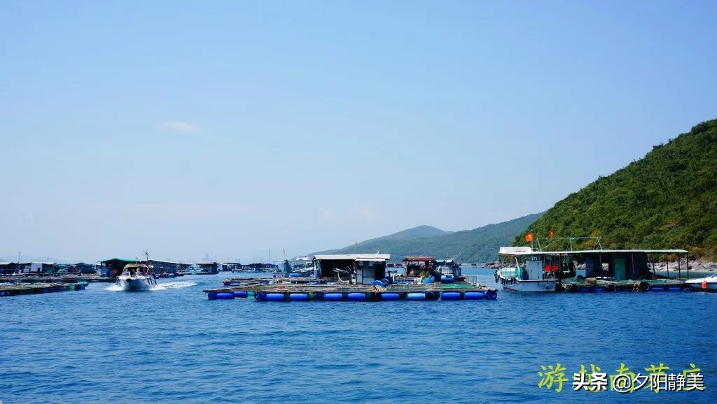 游越南视频,越南黑岛玩浮潜