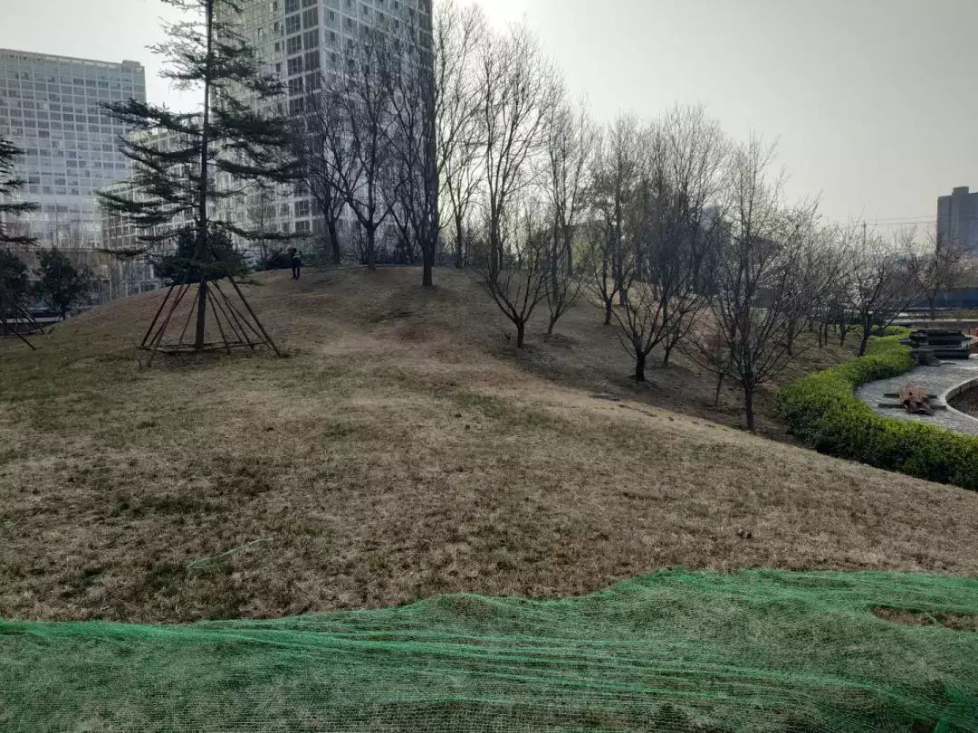 cbd白领生活,北京cbd白领下班回家