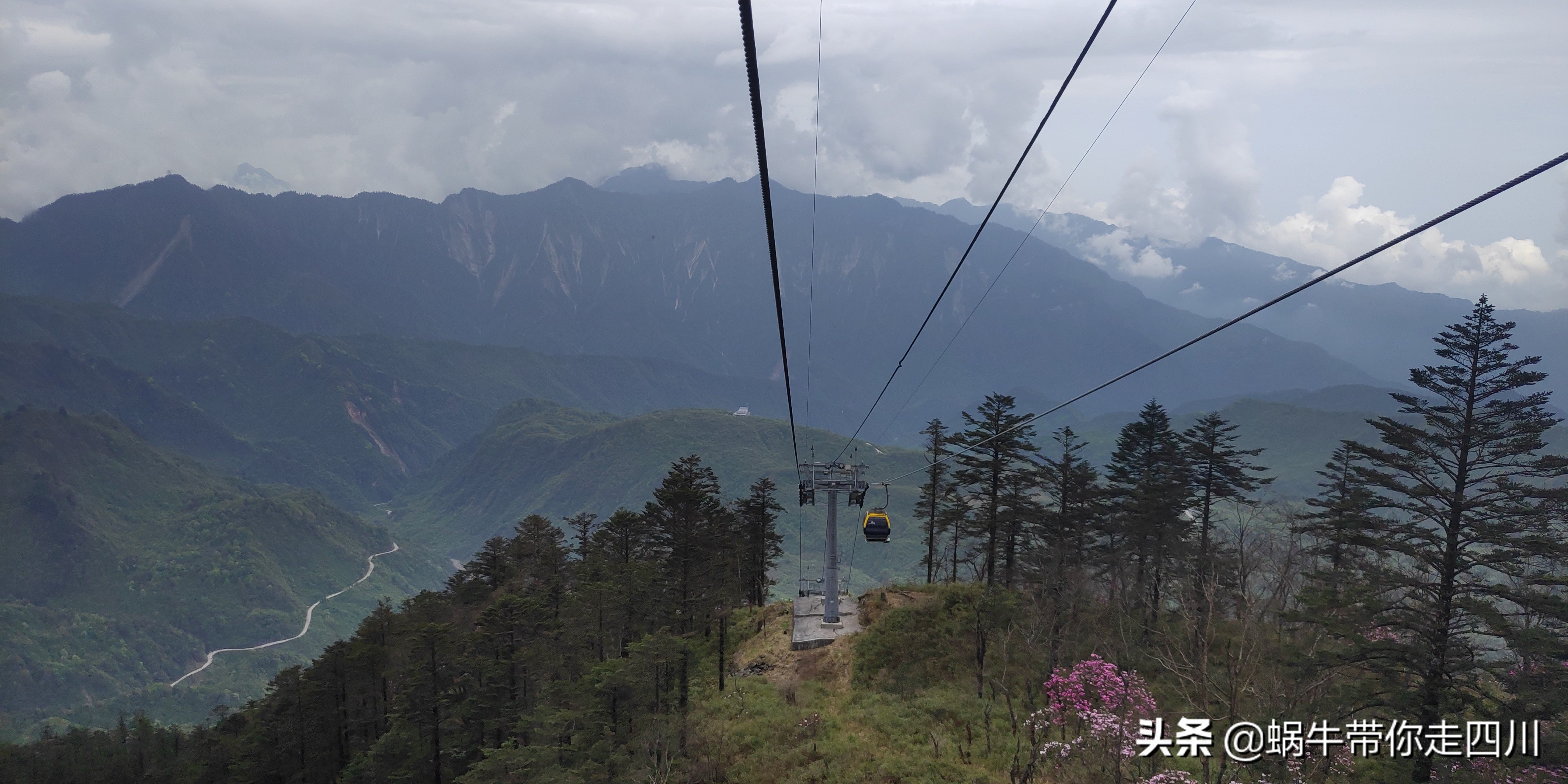 成都去西岭雪山两天一夜旅游团,成都出发雪山旅游