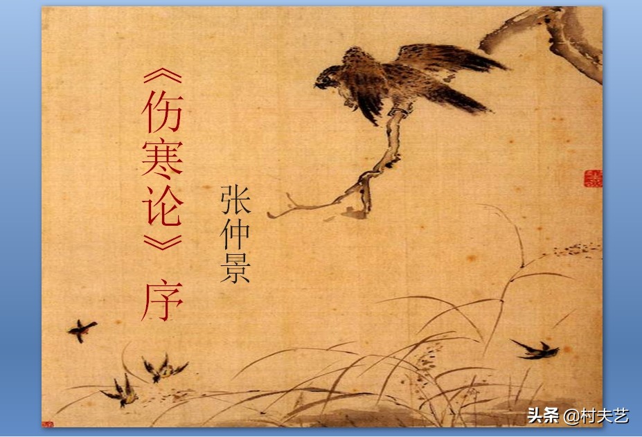 脉象反映病情的原理,脉象的波动讲解