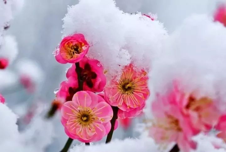 记初中英语单词必背3500词汇,熟记1000个英语单词