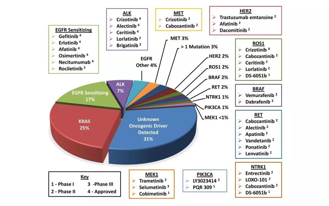 驱动基因阳性iii期肺癌治疗指南,基因检测阳性靶向治疗