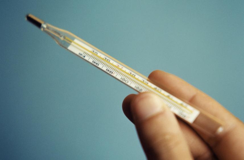 狗狗感冒了怎么弄,狗狗感冒应该怎么治疗