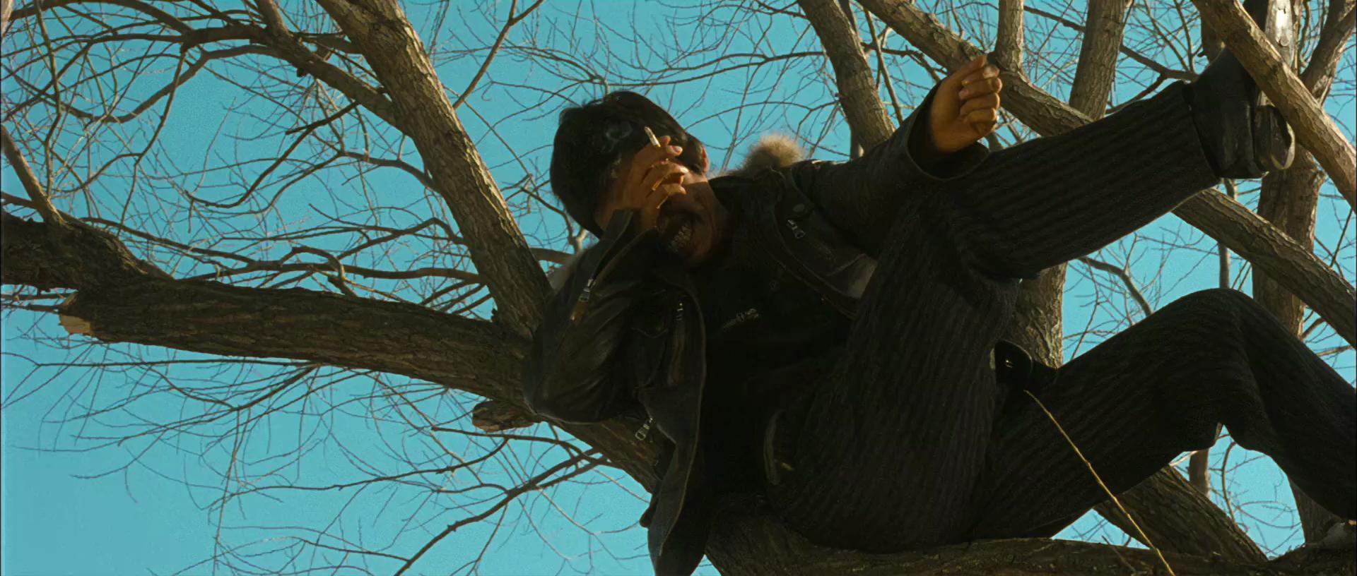 《hello!树先生》最强解析,也许树先生并不是印象中的可怜人