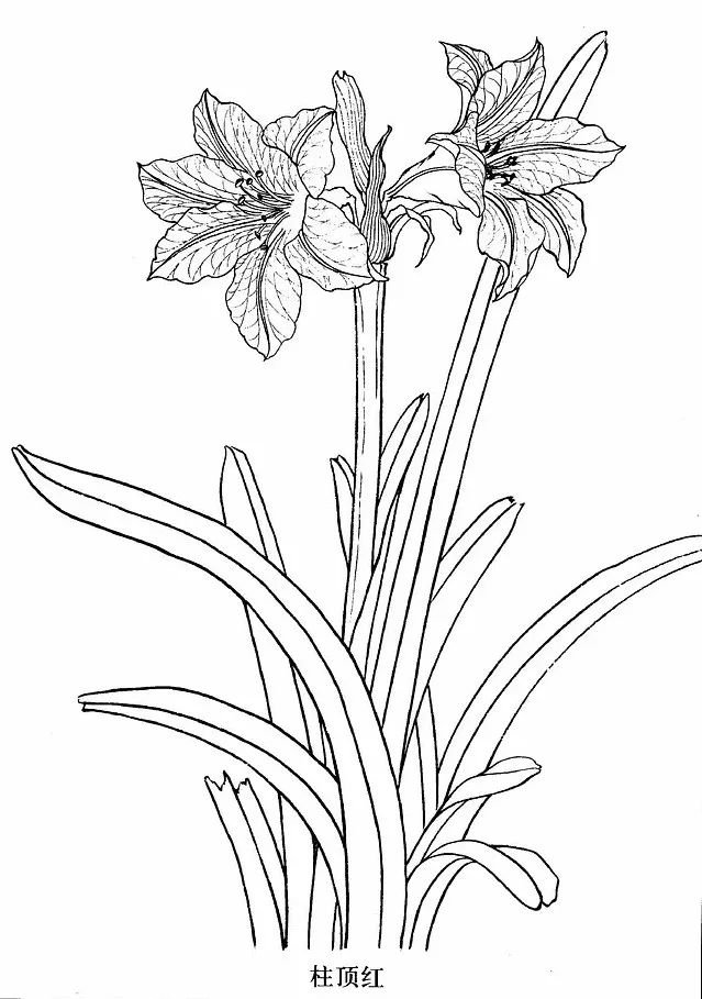 手绘画素材书,100张手绘素材图片