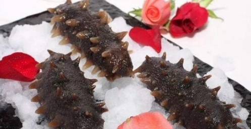 白海参和黑海参有什么区别,养殖海参和野生海参的区别