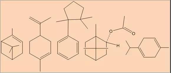 依兰精油的功效与作用,茶树精油的功效与作用