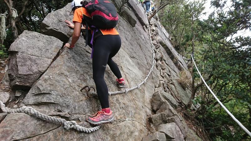 萨洛蒙和泰尼卡越野跑鞋,泰尼卡越野跑鞋至尊全能比较