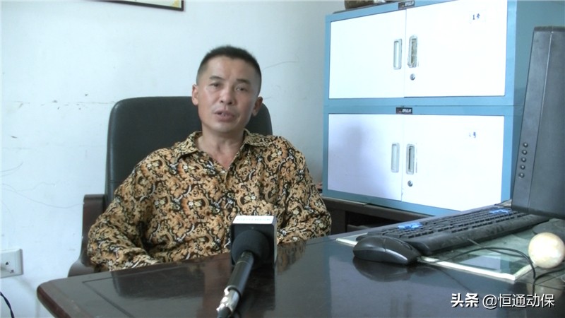 母猪生产顺利怎么做好产后护理,母猪分娩后怎样才能养好母仔猪