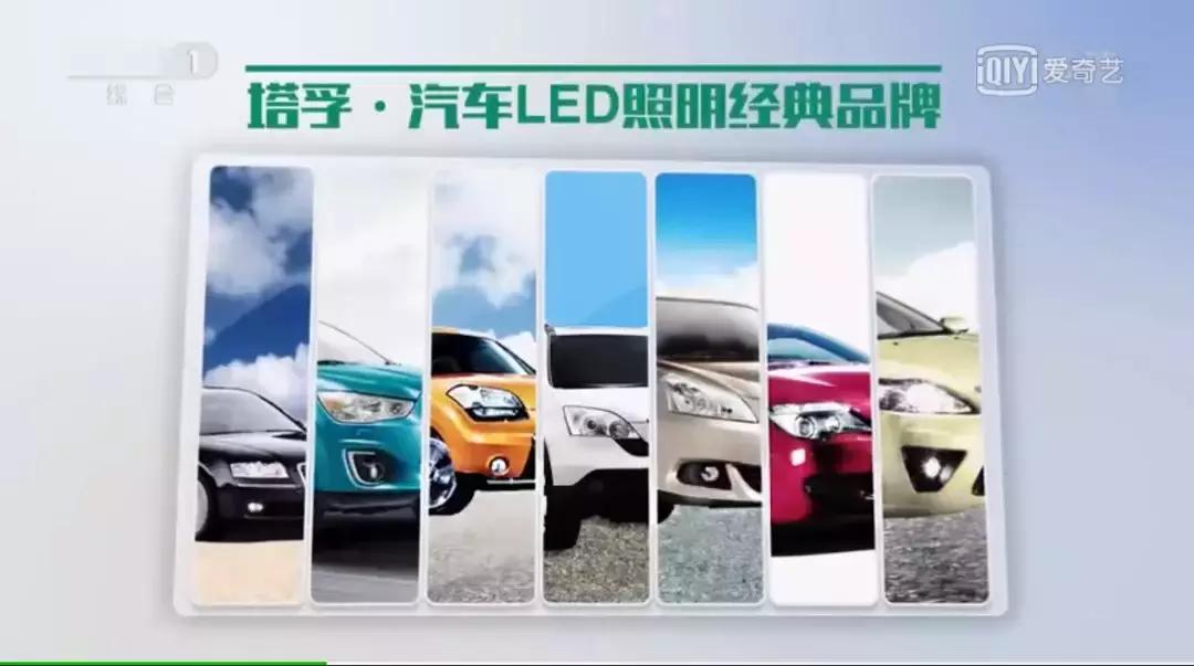 听风者资本论,听风者成王败寇认赌服输