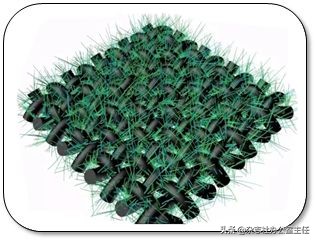 科研绘图流程模板,科研绘图教程