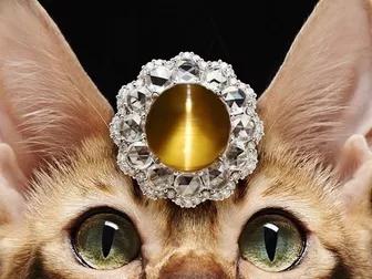 红色彩宝有哪些,红色彩宝都有哪几种