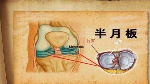 兰姆不是受伤了吗,兰姆受伤完整版